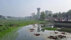 পানি নেই, ভরা মৌসুমে নেই প্রবাহ কিশোরগঞ্জবাসীর অভিশাপ হয়ে উঠেছে নরসুন্দা