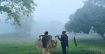 বৃহস্পতিবার থেকে শৈত্যপ্রবাহ, যা জানাল আবহাওয়া অফিস