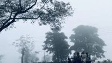 শৈত্যপ্রবাহ ও তাপমাত্রা নিয়ে যা জানালো আবহাওয়া অফিস