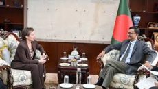 ‘গণতন্ত্রের পথে’ সরকারের প্রচেষ্টায় সমর্থনের আশ্বাস যুক্তরাষ্ট্র দূতের