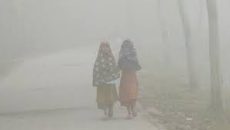 কুয়াশার চাদরে ঢাকা কুড়িগ্রাম, শীতে বিপর্যস্ত জনজীবন