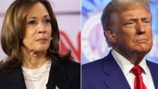 বাংলাদেশে সংস্কার উদ্যোগকে সাবেক মার্কিন ভাইস প্রেসিডেন্টের সমর্থন