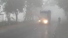 কুয়াশা ও তাপমাত্রা নিয়ে আবহাওয়া অফিসের নতুন বার্তা