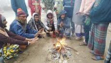কনকনে শীতে বিপর্যস্ত চুয়াডাঙ্গার জনজীবন