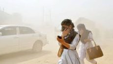 ‘অস্বাস্থ্যকর’ বাতাসে ভালো নেই ঢাকা