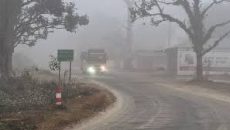 পঞ্চগড়ে ফের তাপমাত্রা নামল ৭ ডিগ্রিতে