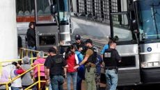 মালয়েশিয়ায় ৭১ বাংলাদেশিসহ ১৭৬ জন গ্রেপ্তার