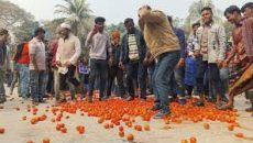 বর্ধিত ভ্যাট-শুল্ক প্রত্যাহারের দাবিতে রাজশাহী-ঢাকা মহাসড়কে টমেটো চাষিদের বিক্ষোভ