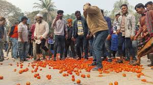 বর্ধিত ভ্যাট-শুল্ক প্রত্যাহারের দাবিতে রাজশাহী-ঢাকা মহাসড়কে টমেটো চাষিদের বিক্ষোভ