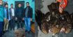 রাজশাহীতে অসুস্থ ঈগল উদ্ধার, বন বিভাগের কাছে হস্তান্তর