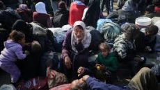 উত্তর গাজায় ফেরার অনুমতি পাচ্ছেন ফিলিস্তিনিরা