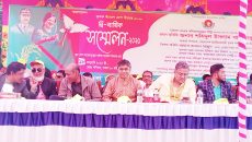 বিএনপি ক্ষমতায় আসলে কৃষকদের ন্যায্য অধিকার ফিরিয়ে দিবো : হাসান মামুন