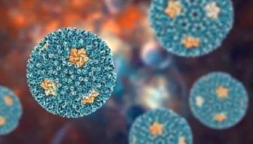 দেশে প্রথমবার ৫ জনের শরীরে রিওভাইরাসের অস্তিত্ব মিলেছে