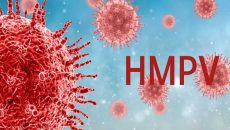 এইচএমপিভি : বিমানবন্দর ও এয়ারলাইন্সগুলোকে বিশেষ নির্দেশনা