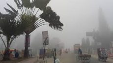 শীতের তীব্রতায় বিপাকে পঞ্চগড়ের জনপদ