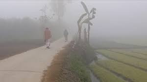 শৈত্যপ্রবাহ নিয়ে যা জানাল আবহাওয়া অফিস