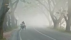 নওগাঁয় তাপমাত্রা ৮.৬ ডিগ্রিতে, শীতে নাকাল জনজীবন