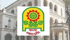 বাংলা একাডেমি সাহিত্য পুরস্কার-২০২৪ পাচ্ছেন যারা