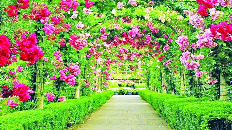 জান্নাতের সুখ শান্তি:মাস্টার রফিকুল ইসলাম রানা