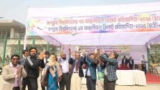 জবিতে আন্তঃবিভাগ ক্রিকেট প্রতিযোগিতা শুরু