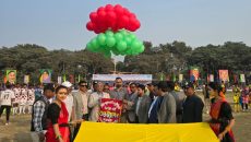 তরুন প্রজন্মের চিন্তা চেতনাকে বিএনপি সর্বোচ্চ গুরুত্ব দিচ্ছে : আমিনুল হক