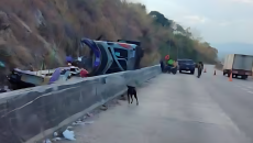 থাইল্যান্ডে শিক্ষাসফরের বাস উল্টে নিহত ১৮