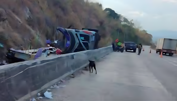 থাইল্যান্ডে শিক্ষাসফরের বাস উল্টে নিহত ১৮