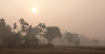 আবারও কমতে পারে তাপমাত্রা, বাড়বে ঘন কুয়াশ