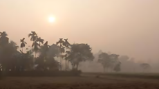 আবারও কমতে পারে তাপমাত্রা, বাড়বে ঘন কুয়াশ