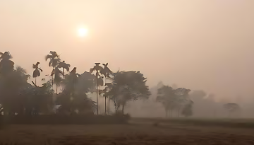 আবারও কমতে পারে তাপমাত্রা, বাড়বে ঘন কুয়াশ