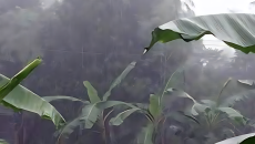 ঢাকাসহ যেসব অঞ্চলে বজ্রসহ বৃষ্টিপাত হতে পারে