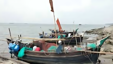 পদ্মা-মেঘনায় ২ মাস ইলিশ ধরা নিষিদ্ধ