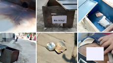 টেন্ডার বাক্সের লুটের ঘটনায় থানায় মামলা: আসামি অজ্ঞাত!