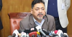 ‘অপারেশন ডেভিল হান্ট’ নিয়ে যা বললেন সিনিয়র স্বরাষ্ট্র সচিব