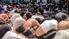 মিয়ানমারে স্ক্যাম সেন্টারগুলোতে অভিযানে প্রায় ৭ হাজার আটক