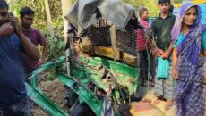 কালিয়াকৈরে ট্রাক-সিএনজি’র সংঘর্ষে নিহত ৩