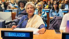 বেইজিং ঘোষণা বাস্তবায়নে সহযোগিতার আহ্বান মহিলা ও শিশুবিষয়ক উপদেষ্টার