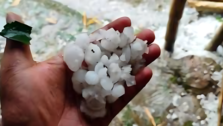 শিলাবৃষ্টিতে ভিজল যশোর, তাপপ্রবাহ নিয়ে আবহাওয়া অফিসের যে বার্তা