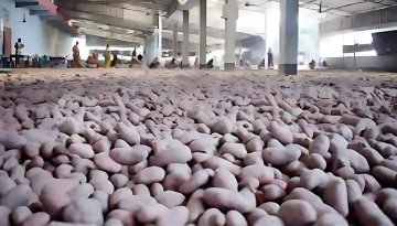 অবশেষে আলু সংরক্ষণে ভাড়া বেঁধে দিল সরকার