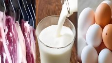 রবিবার থেকে বাড়ছে সুলভমূল্যে মাংস, ডিম ও দুধ বিক্রি কার্যক্রমের পরিধি