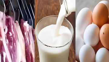 রবিবার থেকে বাড়ছে সুলভমূল্যে মাংস, ডিম ও দুধ বিক্রি কার্যক্রমের পরিধি