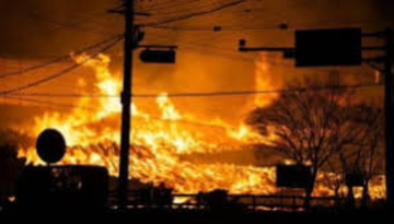 দক্ষিণ কোরিয়ায় দাবানলে ২৪ জনের মৃত্যু