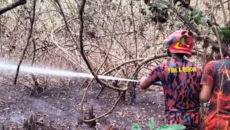 সুন্দরবনের আগুন নিয়ন্ত্রণে, ৩ সদস্যের তদন্ত কমিটি গঠন