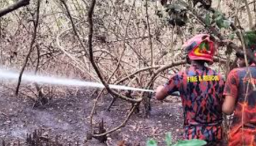 সুন্দরবনের আগুন নিয়ন্ত্রণে, ৩ সদস্যের তদন্ত কমিটি গঠন