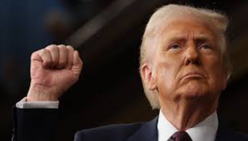 জেলেনস্কি যুদ্ধ বন্ধে ও চুক্তি করতে রাজি হয়েছেন