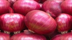 পেঁয়াজ রপ্তানি থেকে শুল্ক তুলে নিল ভারত