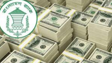 দেশের ইতিহাসে রেকর্ড রেমিট্যান্স এলো ফেব্রুয়ারিতে