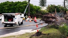 ঘূর্ণিঝড় আলফ্রেডের আঘাতে লণ্ডভণ্ড অস্ট্রেলিয়ার কুইন্সল্যান্ড