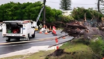 ঘূর্ণিঝড় আলফ্রেডের আঘাতে লণ্ডভণ্ড অস্ট্রেলিয়ার কুইন্সল্যান্ড