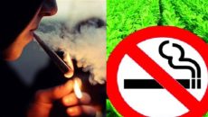 তামাক নিয়ন্ত্রণে মাঠ উন্মুক্ত করে খেলাধুলায় জোর দেওয়ার তাগিদ